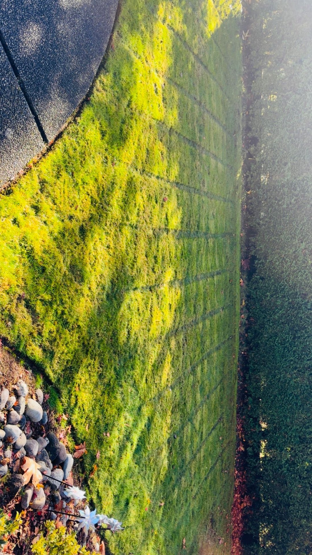 Precision Mowing Stripes by ARATH Lawn Care Services