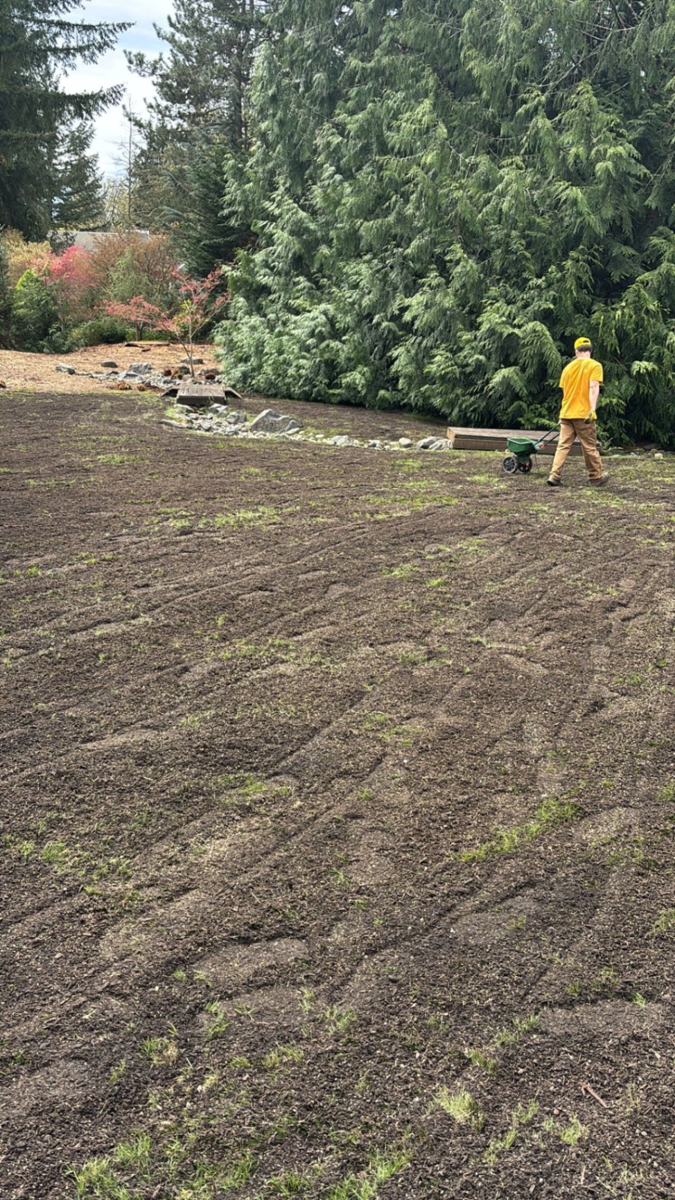 Lawn Reseeding & Top Dressing by ARATH Lawn Care Services