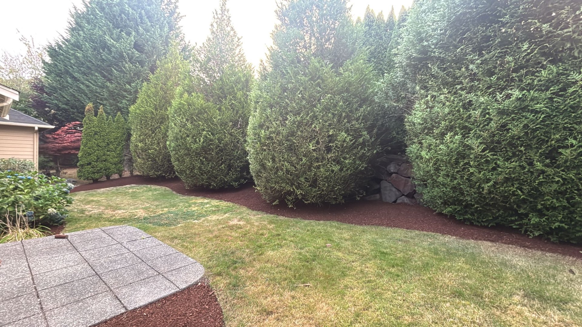 Hedge Trimming & Mulch Refresh by ARATH Lawn Care Services